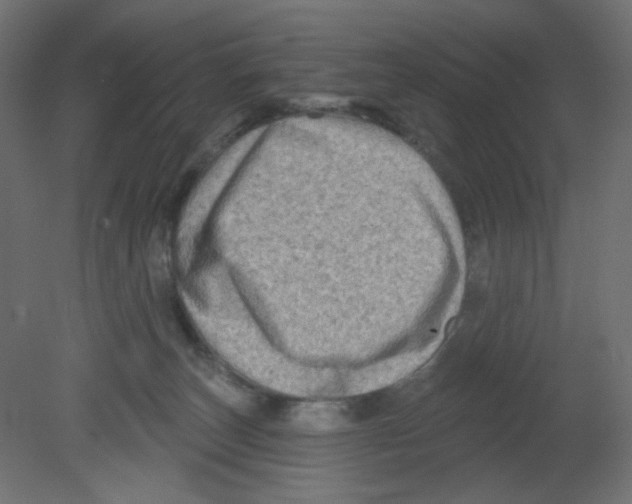 X0000080740179200701121946