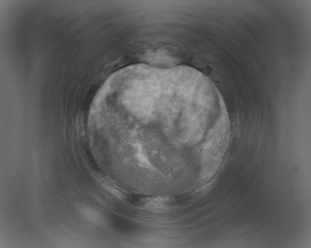 X0000080740182200701121946