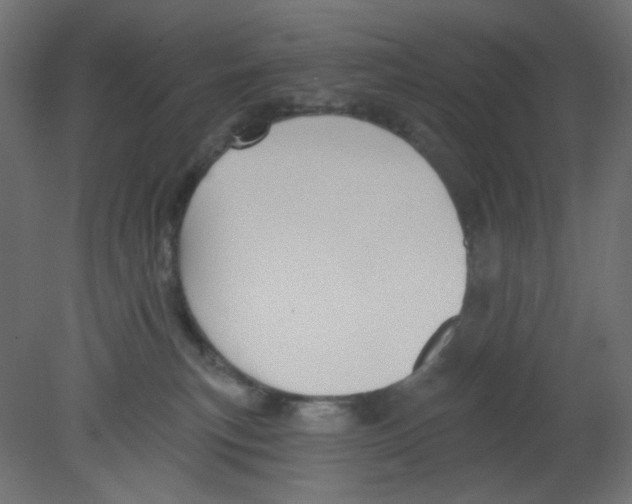 X0000080740183200701121946