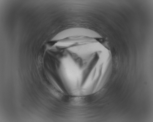 X0000080740184200701121946