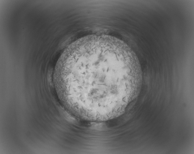 X0000080740185200701121946