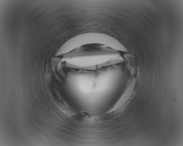 X0000080740186200701121946