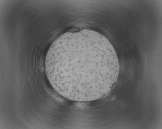 X0000080740187200701121946