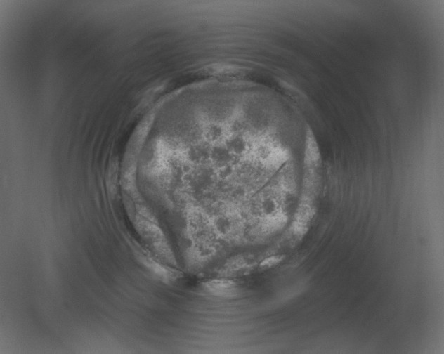 X0000080740189200701121946