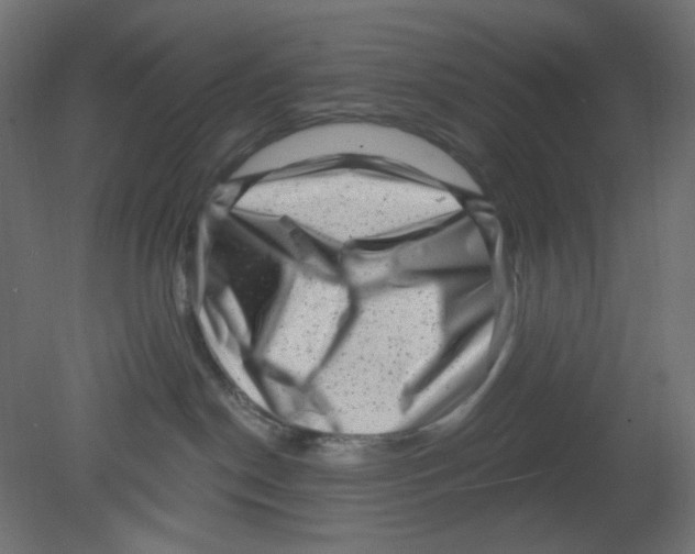 X0000080740190200701121946