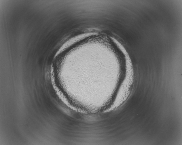 X0000080740191200701121946