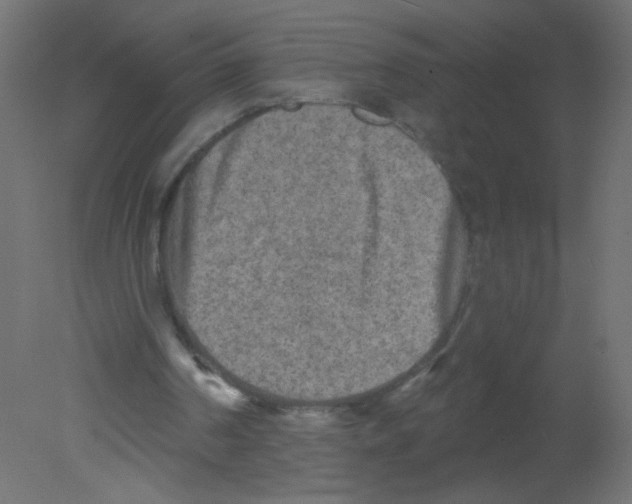 X0000080740194200701121946