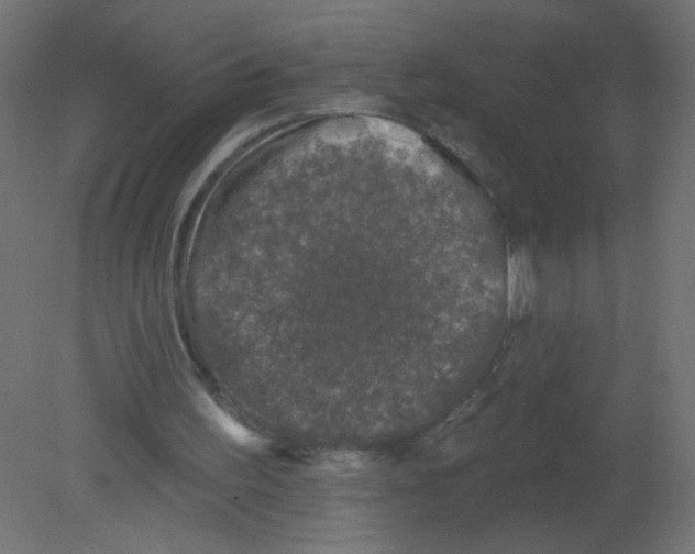 X0000080740195200701121946