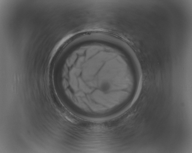 X0000080740200200701121946