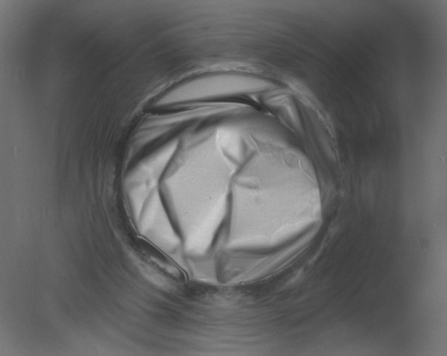 X0000080740201200701121946