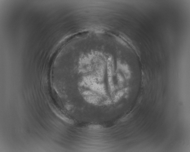 X0000080740203200701121945