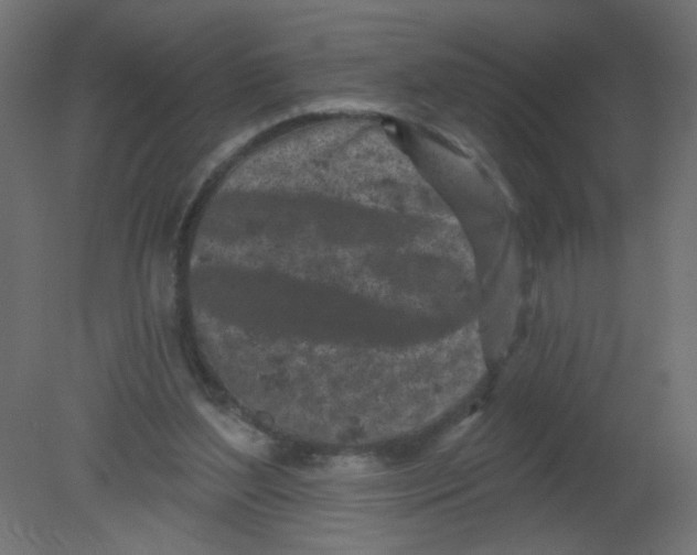 X0000080740204200701121945