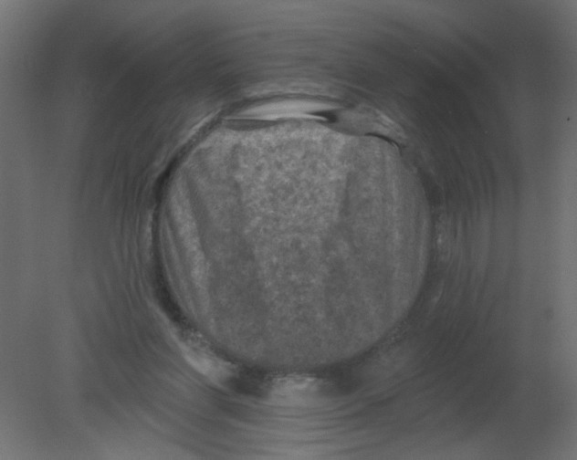 X0000080740206200701121945