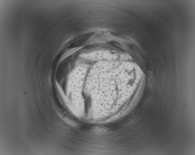 X0000080740207200701121945