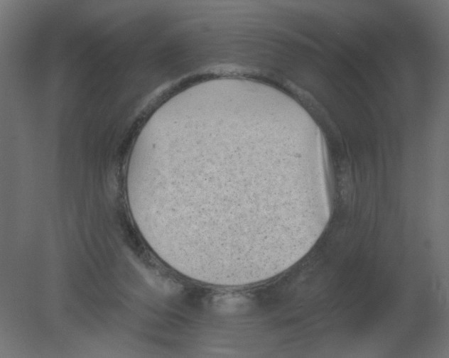 X0000080740208200701121945