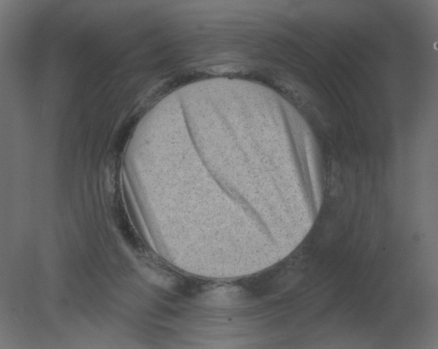 X0000080740210200701121945