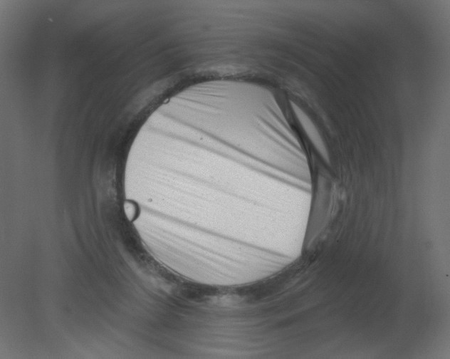 X0000080740212200701121945