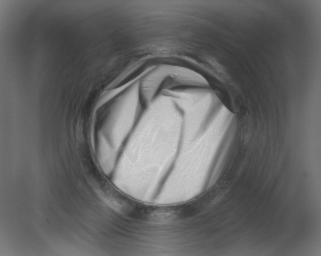 X0000080740213200701121945