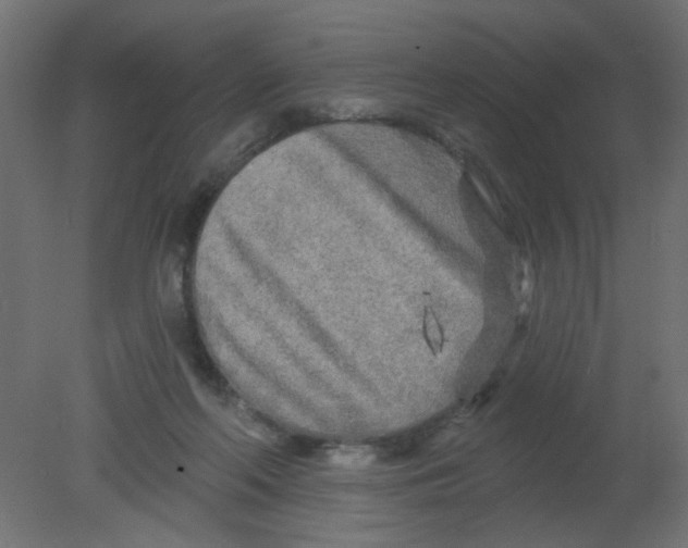 X0000080740214200701121945