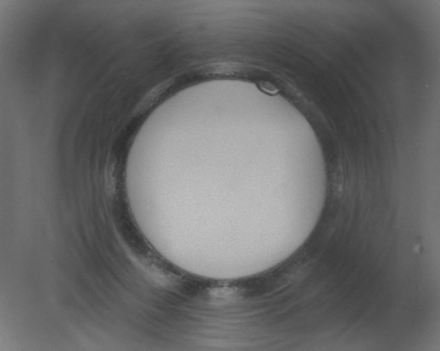 X0000080740216200701121945