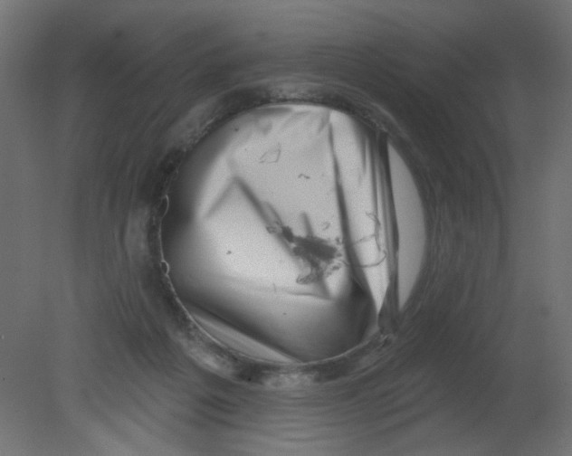 X0000080740217200701121945