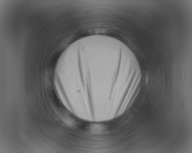 X0000080740218200701121945