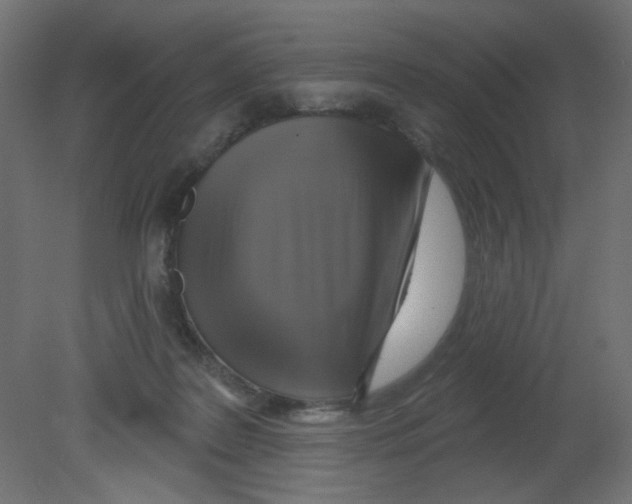 X0000080740219200701121945