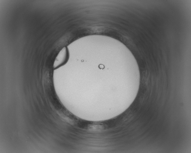 X0000080740220200701121945