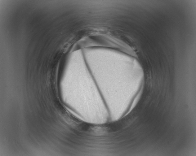 X0000080740221200701121945