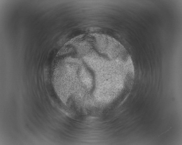 X0000080740222200701121945