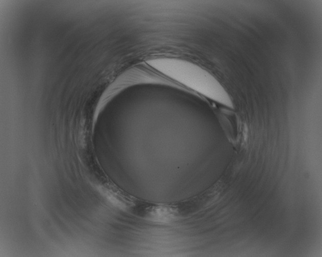 X0000080740223200701121945