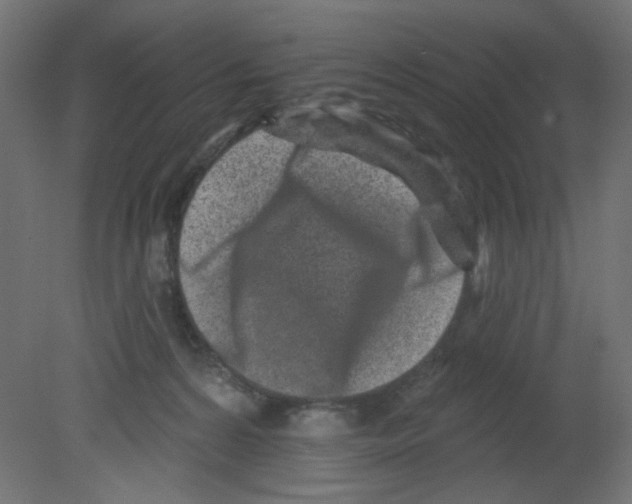 X0000080740224200701121945