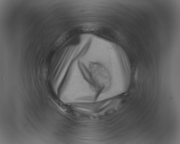 X0000080740227200701121945