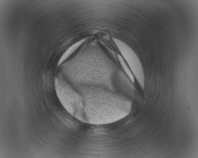 X0000080740228200701121945