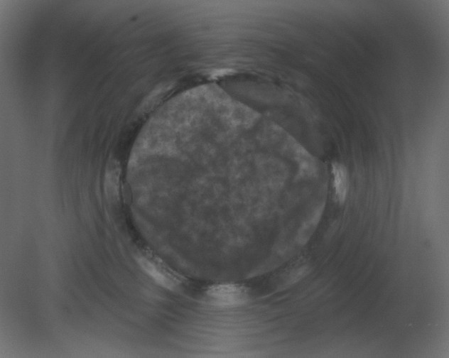 X0000080740231200701121945