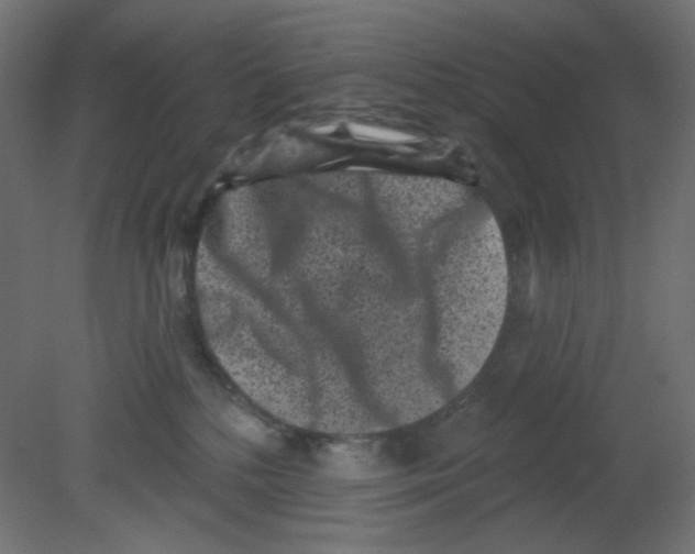 X0000080740232200701121945