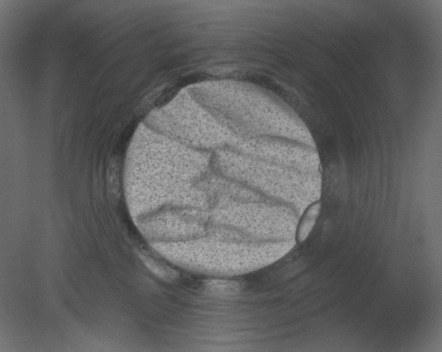 X0000080740234200701121945