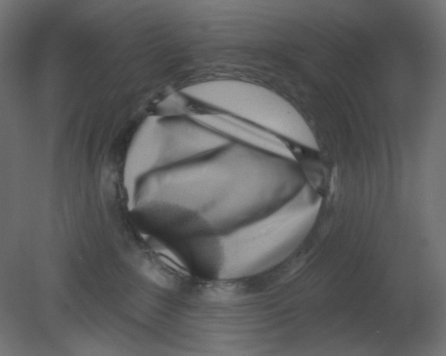 X0000080740235200701121945