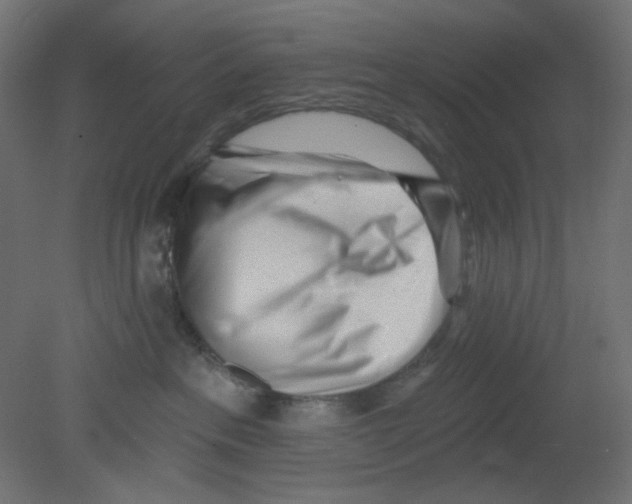 X0000080740237200701121945