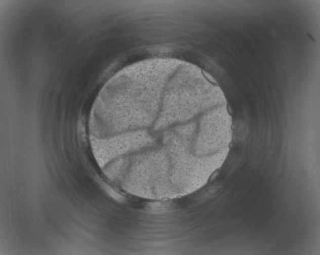 X0000080740238200701121945