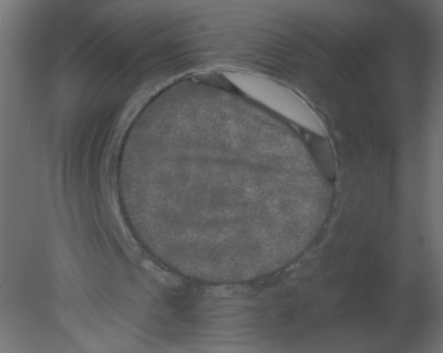 X0000080740241200701121944