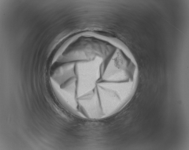 X0000080740242200701121944