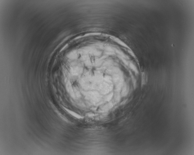 X0000080740243200701121944