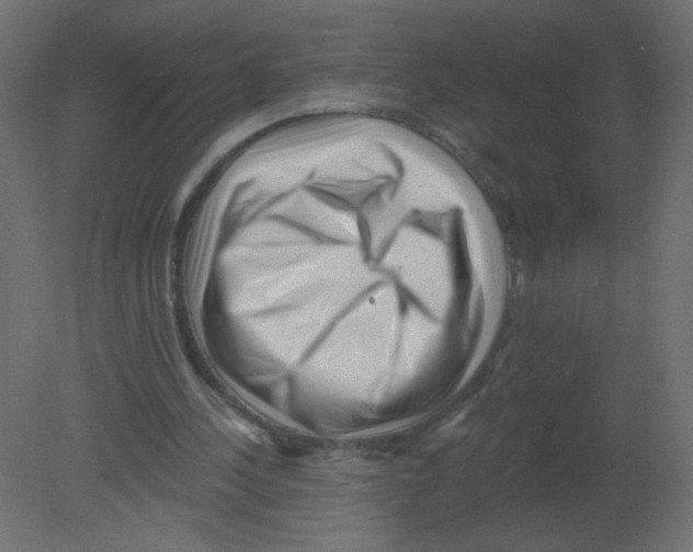 X0000080740244200701121944