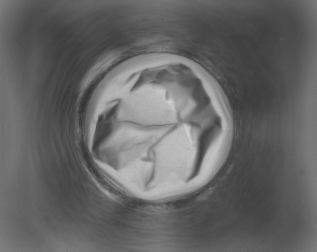 X0000080740245200701121944