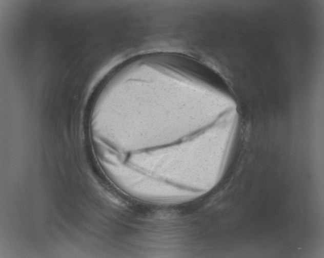 X0000080740248200701121944