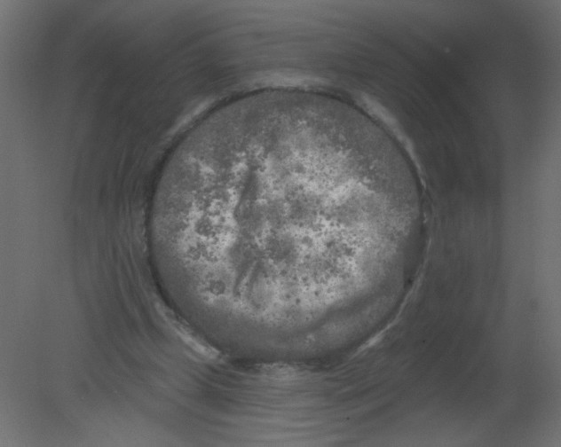 X0000080740249200701121944