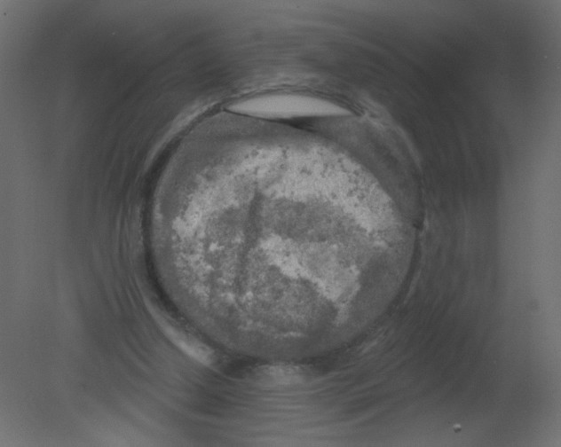 X0000080740250200701121944