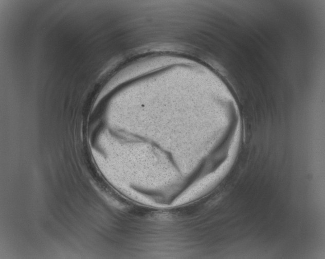 X0000080740253200701121944