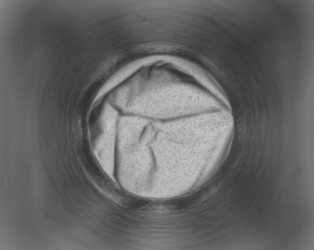 X0000080740254200701121944